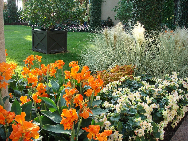 427 Longwood Gardens [2008 August 23].JPG - Longwood Gardens in Pennsylvania